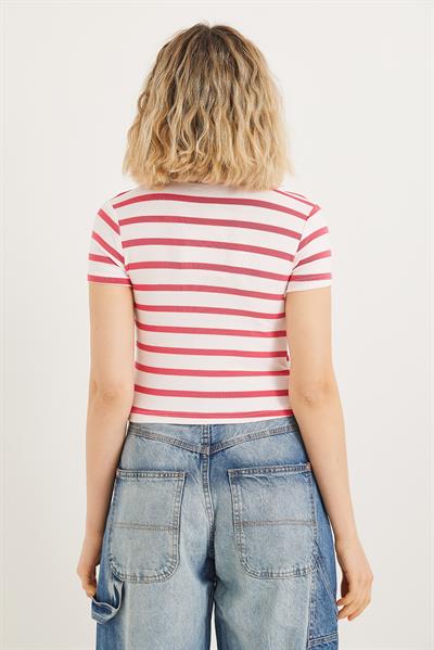 Polo Yaka Çizgili Crop Bluz Kırmızı