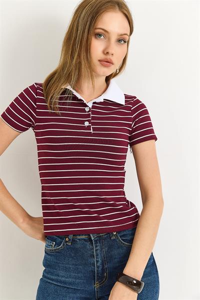 Polo Yaka Çizgi Desenli Kadın Tshirt Bordo