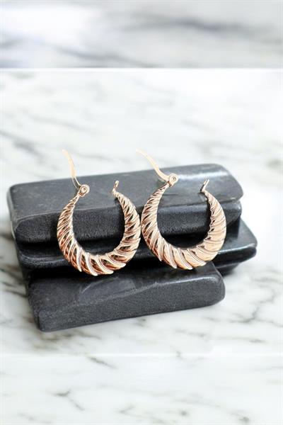 Burgulu Vintage Halka Küpe Gold