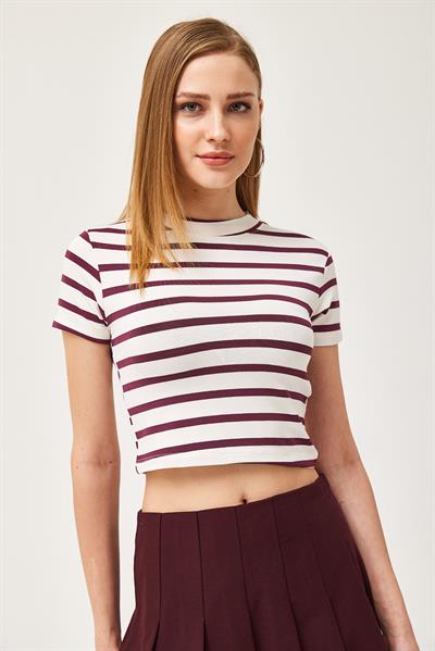 Çizgili Bisiklet Yaka Crop Bluz Mor