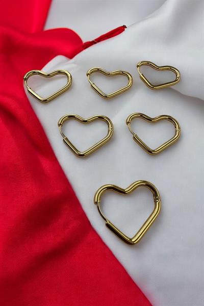 6 lı  Çelik Kalpli  Gold Küpe