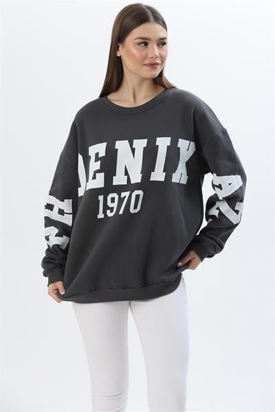 Üç İplik Baskılı Kapüşonlu Sweatshirt Füme