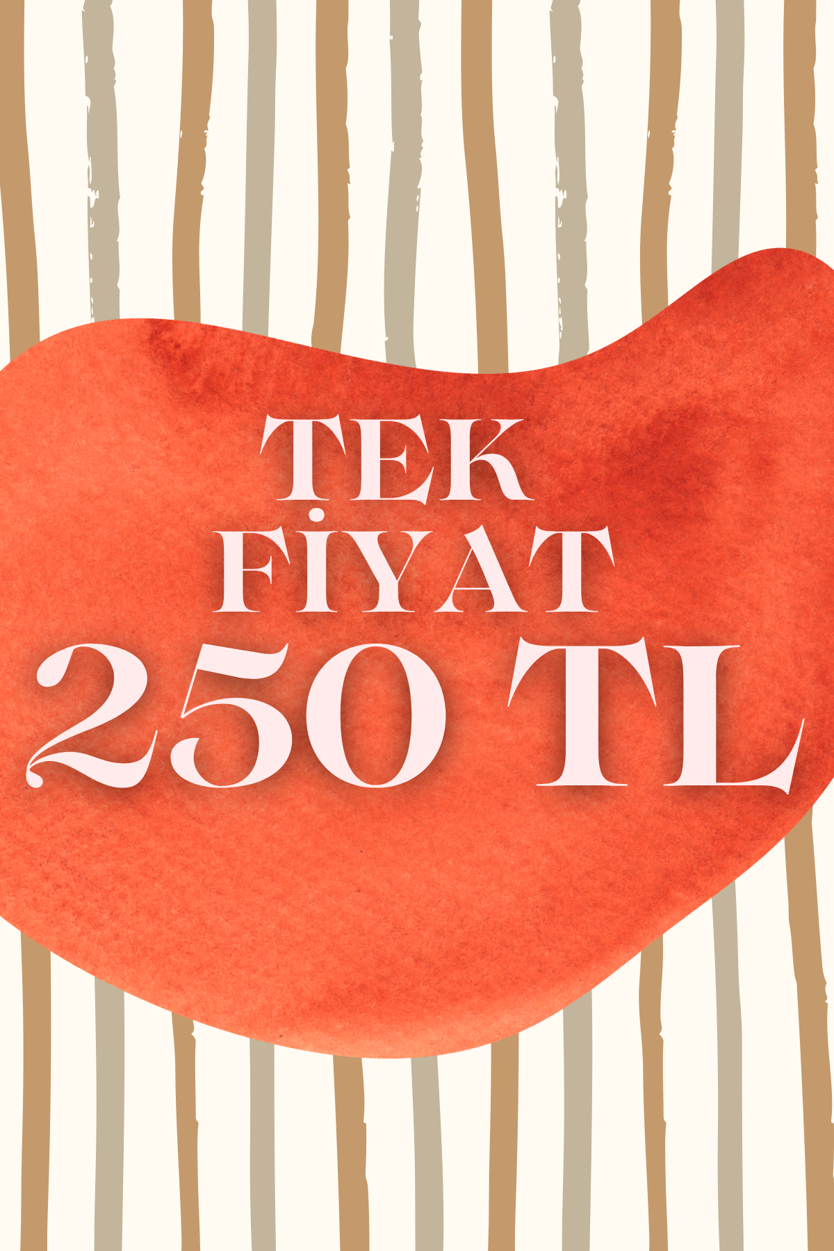 Tek Fiyat 250 TL