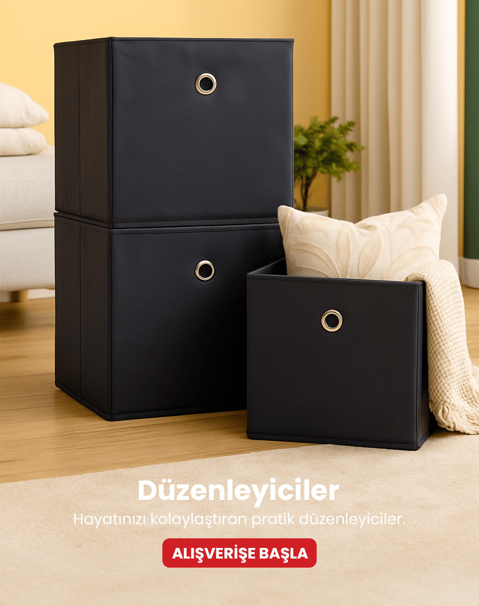 Düzenleyiciler