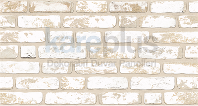 TD06-113 BOYALI PANEL