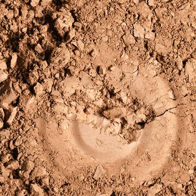 cosmic glow star bronzer