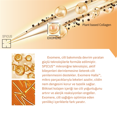 EXOMERE Aroma Healing Onarıcı Mist 150 ML