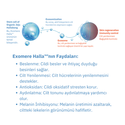 EXOMERE Aroma Healing Onarıcı Mist 150 ML