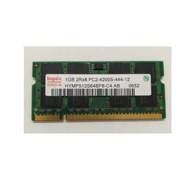 HYNİX 1 GB RAM