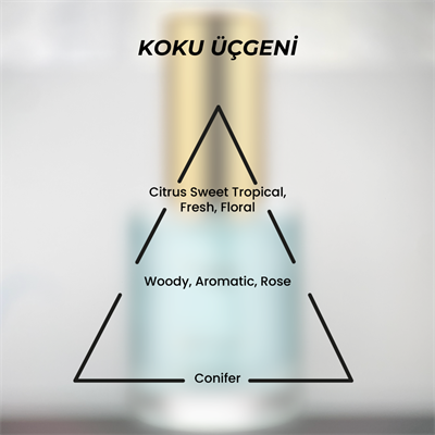  EvyLaure Aoiike Reflet Simli Saç Parfümü - Canlandırıcı & Işıltı Veren Hair Mist 30 ml