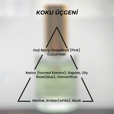 EvyLaure Arashiyama Charme Simli Saç Parfümü - Kalıcı ve Canlandırıcı Hair Mist 30 ml