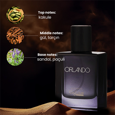 EvyLaure Orlando Erkek Parfümü | Modern ve Çekici EDP| 50 ml