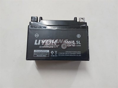 AKÜ 12V 6,5AH CG-AGK-MG