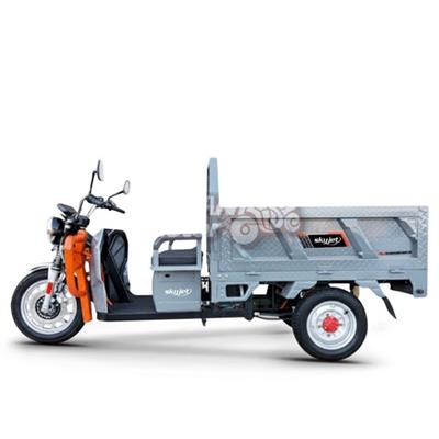 SKYJET SMART PRO ELECTRYCITY TRICYCLE