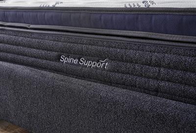 SPİNE SPORT