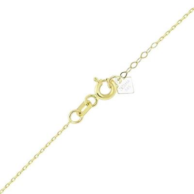 Kuzey Yıldızı Kalkan Altın Kolye