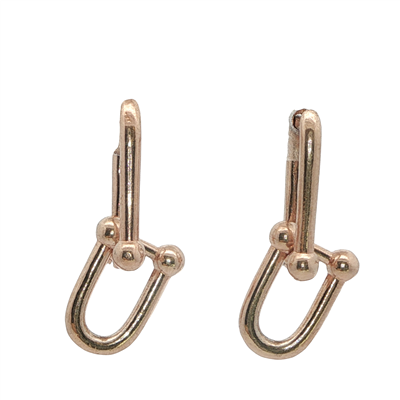 Acar Gold Gümüş Küpe - KP02058S