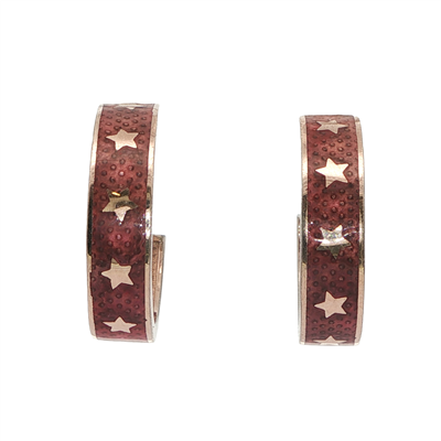 Acar Gold Gümüş Küpe - KP02251S