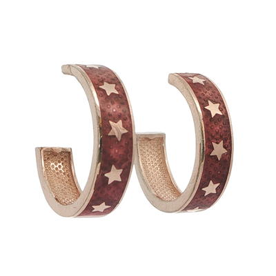Acar Gold Gümüş Küpe - KP02251S