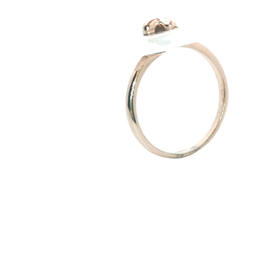Acar Gold Gümüş Yüzük - YZ00237S