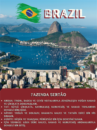 Brezilya Fazenda Sertão Single Origin Çekirdek Kahve