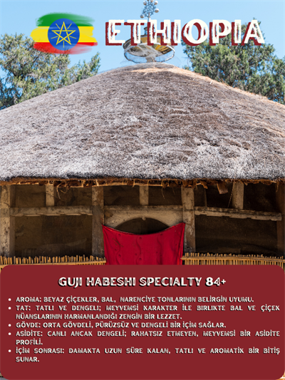 Ethiopia Guji Habesha 84+ Specialty Nitelikli Çekirdek Kahve