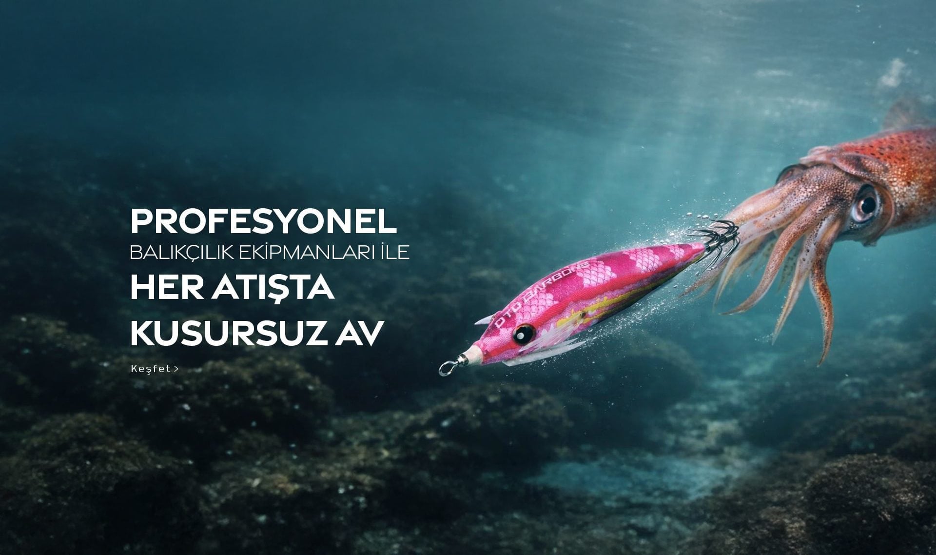Su altında pembe kalamar zokasına saldıran kalamar — profesyonel balıkçılık ekipmanları