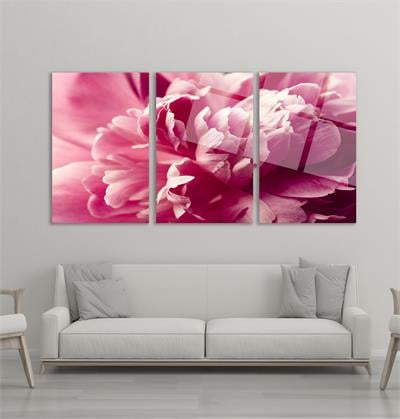 Soyut Pembe Çiçek Cam Tablo  Modern Ofis Makam Odası Hediyelik Büyük Tablo Duvar Dekoru 