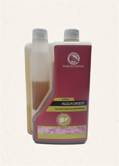 Algua Digest
