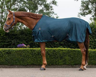 At Sineklik Örtüsü Basic