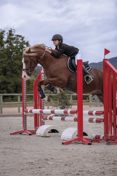 Binici Yarışma Ceketi - Equitheme - Soft Klasik