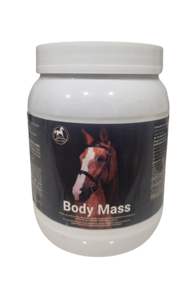 Body Mass - Kas Destek