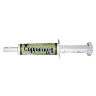 Coppamore Pasta