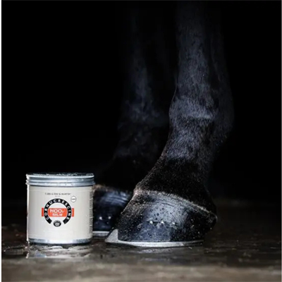 Cornucrescine Daily Hoof Balm – Clear
