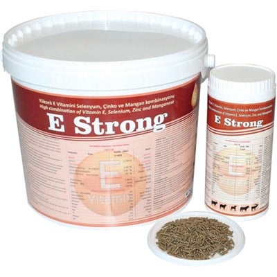 E Strong