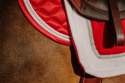 Egzersiz Blanketi - Equitheme Xmas