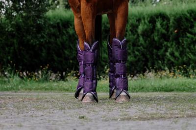 Equitheme Tyrex Seyahat Getri 600D 