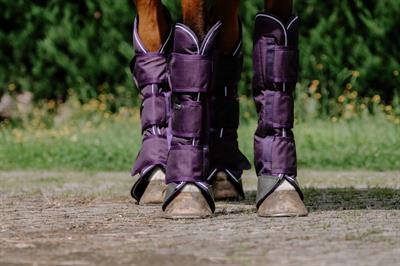 Equitheme Tyrex Seyahat Getri 600D 