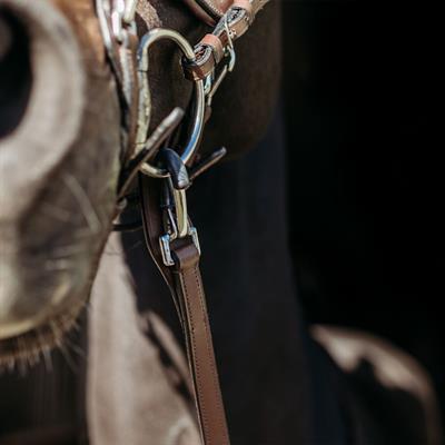 Fay Dizgin klips ve stoperli (12,5 cm)