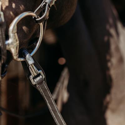 Fay Dizgin klips ve stoperli (12,5 cm)