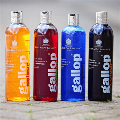 Gallop Colour Shampoo