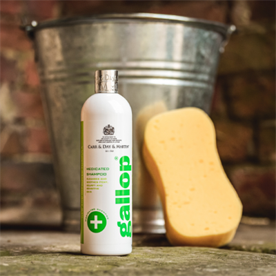 Gallop Medicated Shampoo