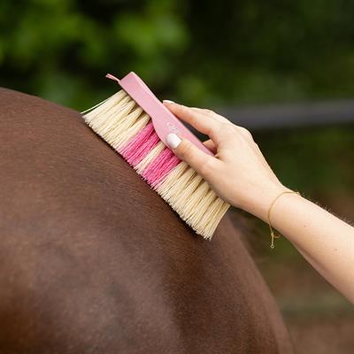 Kaba Tımar Fırçası Lyvia