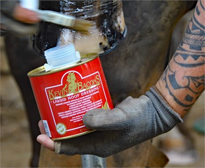 Kevin Bacons Liquid Hoof Dressing