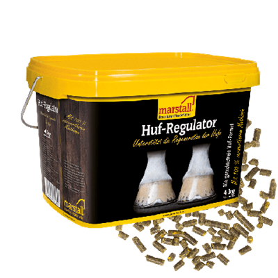 Marstall Huf-Regulator