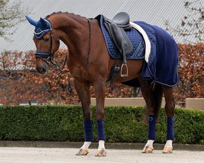 Polar Blanket Brilliance