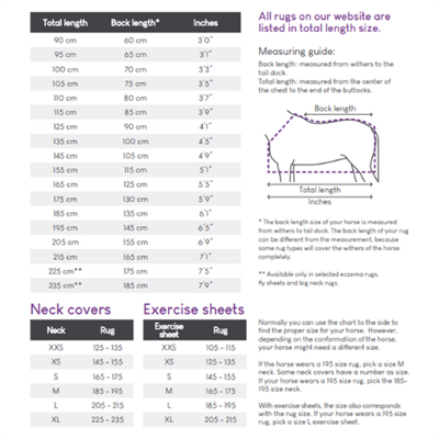 Polar Blanket Brilliance