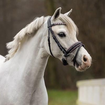 Pony Başlık - Bixie - Dizgin Dahil