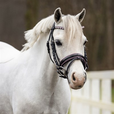 Pony Başlık - Bixie - Dizgin Dahil