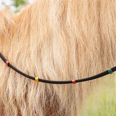 Pony Dizgini Renkli Stoperli